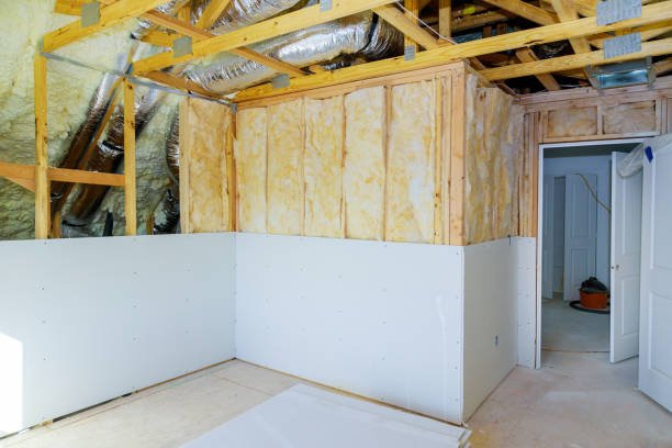 Best Insulation Contractors for Homes  in Boutte, LA