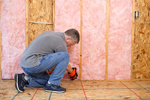 Best Affordable Insulation Services  in Boutte, LA